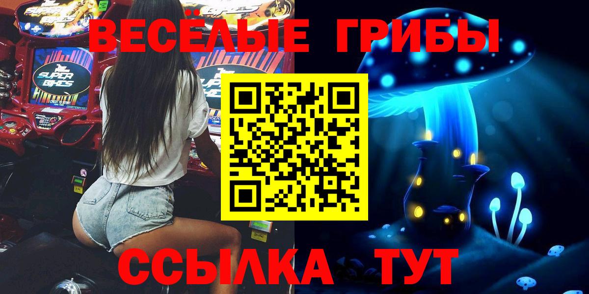 Псилоцибиновые грибы GOLDEN TEACHER Краснодар